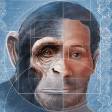 Are you smarter than the world's smartest ape? Take the test!